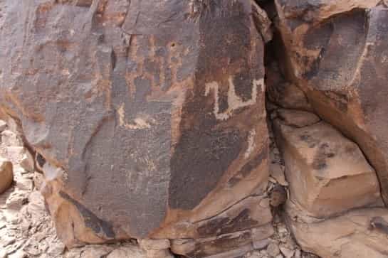 الشرعي ساقتين 11